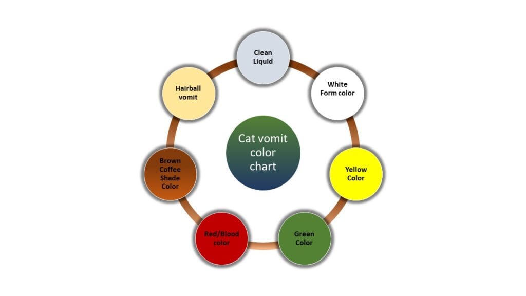 What Should You Do When Your Cat Vomit? Cat Vomit Color Chart