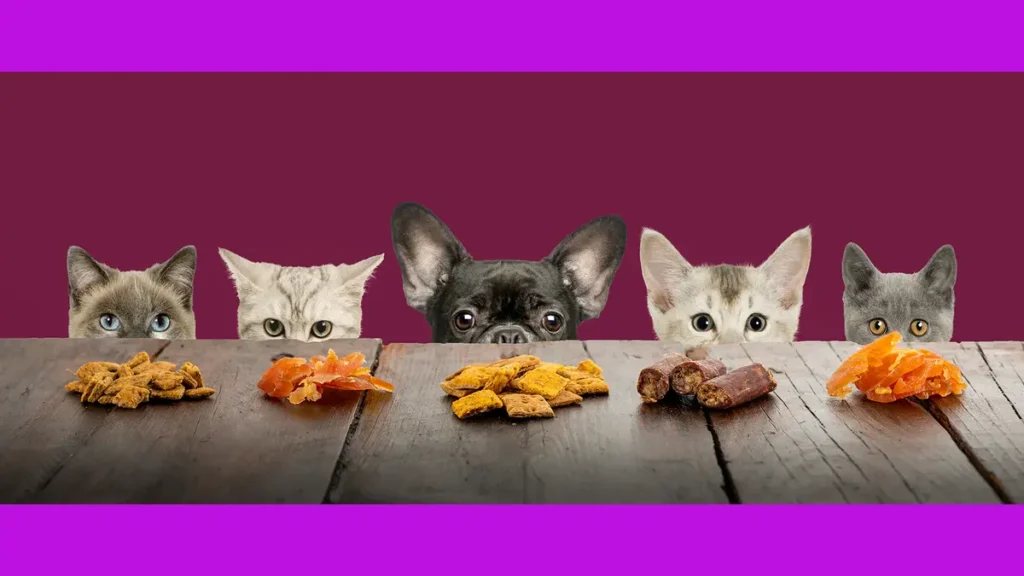 7 Pet Treats Best For Your Pet Health